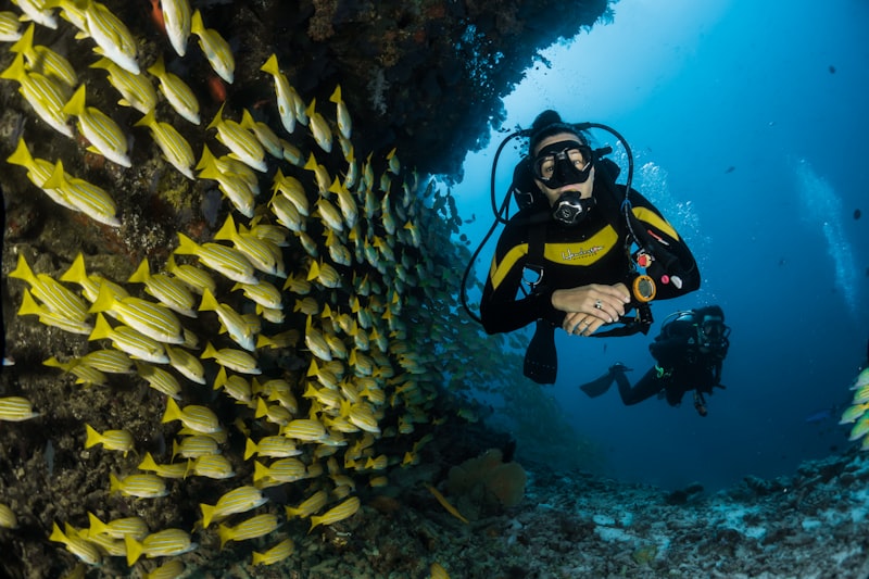 Ocean Water Pollution